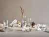 Holmegaard Forma - Tumbler glas, 30 cl, helder, 2 stuks Productafbeelding-voorbeeld 4