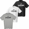 SPALDING Logo T-Shirt Kinder grau melange 152 Produktbild-Vorschau 2