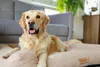 Großes Hundebett Hundesofa Hundekissen Hundekörbchen  Produktbild-Vorschau 5