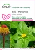 SAFLAX - Zioła - Paracress - 500 Nasiona - Acmella oleracea Podgląd zdjęcia produktu 1