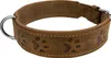 A close-up studio shot of a dog collar. Produktbild-Vorschau