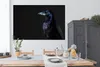 MuchoWow® Poster Vogel - Tiere - Schwarz 180x120 cm - Produktbild-Vorschau 3
