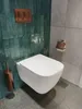 Haceka Kosmos toiletrolhouder met klep 14,3x5x12,9cm Produktbild-Vorschau 5