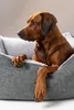 TrendPet VitaBed Classic orthopädisches Hundebett grau Produktbild-Vorschau 6