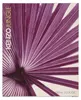 Kenzo Jungle L Elephant Eau De Parfum 100 ml (woman) Produktbild-Vorschau 7
