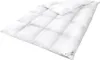 HS94 Daunendecke Decken 220x240 cm 70% DAUNEN - 30% FEDERN Produktbild-Vorschau 1
