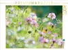 Calvendo Sommerwiese im Sommerlicht 1000 Teile Puzzle quer Produktbild-Vorschau 3