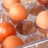 A close-up view of brown eggs in a clear plastic egg carton. Náhled obrázku produktu