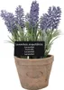 Esschert Design Kunst-Lavendel in AT Topf L; AH010 Produktbild-Vorschau 1
