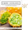Kiwano Samen (Cucumis metuliferus) - Exotisches Horngurke Produktbild-Vorschau 1
