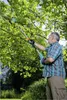 Gardena TCS 20/18V P4A Ready To Use Set Akku-Hochentaster Produktbild-Vorschau 11