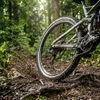 Schwalbe Hurricane 29x2,40 (62-622) HS499 DD RaceGuard Produktbild-Vorschau 3