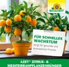 Neudorff Azet Zitrus und MediterranpflanzenDünger - 750g Produktbild-Vorschau 7