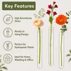 Omgoods - Reageerbuisjes voor Bloemen met Ophanglijn - 20 x Productafbeelding-voorbeeld 3