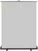 Walimex pro Panneau enrouleur fond gris 165x220 Voir les images du produit 1