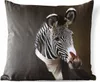 MuchoWow® Outdoor Kissen - Zebra - Porträt - Kleidung - Produktbild-Vorschau 1