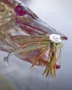 4Street Chatter Mini , Gewicht / Farbe:5g / Natural Produktbild-Vorschau 9