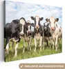 MuchoWow® - Leinwandbilder - Kühe - Weide - Tiere - Natur - Produktbild-Vorschau 1