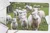 MuchoWow® Schreibtischunterlage Schafe - Gras - Lamm 60x40 Produktbild-Vorschau 5