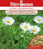 Dürr-Samen - Wiesen-Gänseblümchen weiß zweijährig 15 cm - Produktbild-Vorschau 2