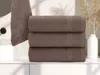 Ručník BASIC MALÝ 40 x 60 cm tmavě hnědý Náhled obrázku produktu 1