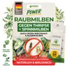 Power Raubmilben gegen Thripse und Spinnmilben,5 Mix Produktbild-Vorschau 1