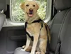 Nobby 75325, Hund, Westengeschirr, L, Schwarz, Einfarbig, Produktbild-Vorschau 3
