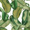 Coloray Fototapete 104x70 cm Vlies-Fototapete - Botanische Produktbild-Vorschau 2