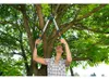 GARDENA Coupe-branches TeleCut Pro S 12040-20 Voir les images du produit 18