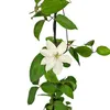 Clematide Guernsey Crema 1L Anteprima dell’immagine prodotto 3