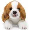 Carl Dick Beagle circa 20 cm, peluche, peluche, peluche Anteprima dell’immagine prodotto 2