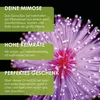 GROW2GO Mimose Starter Kit Anzuchtset - Pflanzset aus Produktbild-Vorschau 5