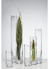 Glasvase "Solifleur" Ø 6 x 40cm | Hohe Blumenvase aus Glas Produktbild-Vorschau 4