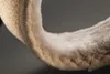 Pedag Pascha - Einlegesohle mit einer warmen Produktbild-Vorschau 6