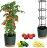 Tomatentopf, Tomatenpflanze Pflanzkübel, Topf zur Anzucht Produktbild-Vorschau 1
