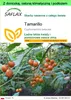SAFLAX - Garden to go - Tamarillo - 50 Nasiona - Z Podgląd zdjęcia produktu 1