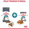 Royal Canin Hairball Care, Dorosły, 2 kg Podgląd zdjęcia produktu 3