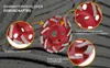 BTEC Diamant Topfschleifer TWIN SPEED EXTREME Ø 125 mm Produktbild-Vorschau 8