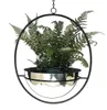 DanDiBo Blumenampel Innen Metall Wand Hängepflanzen 78 cm Produktbild-Vorschau 1