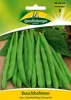 Buschbohne Saxa | Buschbohnensamen von Quedlinburger Produktbild-Vorschau 3