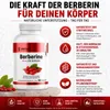 Berberin – 500 mg Extrakt aus Berberis-Aristata-Wurzel zur Produktbild-Vorschau 2