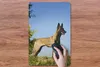 MuchoWow® Mauspad Mousepad Blauer Himmel über dem Produktbild-Vorschau 3