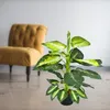 Dieffenbachia Plante Artificielle Artificiel Plastique Voir les images du produit 3