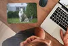 MuchoWow® Mauspad Mousepad Katze - Siamese - Gras - Mädchen Produktbild-Vorschau 3
