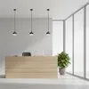 A reception desk with a laptop and a plant in a modern office setting. Produktbild-Vorschau