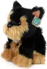 RAPPA Plyšový pes Yorkshire Terrier 30 cm ECO-FRIENDLY Náhľad obrázku produktu 2