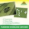 Neudorff Gelbsticker für Pflanzen 10 Stück gegen kleine Produktbild-Vorschau 4