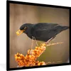 MuchoWow® Gerahmtes Poster Vogel - Amsel - Winter - Eis - Produktbild-Vorschau 1