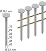 PREBENA Nägel für 4X-CNZ45 | PK( 7200)NÄGEL CNZ31X25MM VZ Produktbild-Vorschau 3