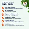 Bierzeltgarnitur PRAKTIK mit Rückenlehnen, 170cm, braun Produktbild-Vorschau 3